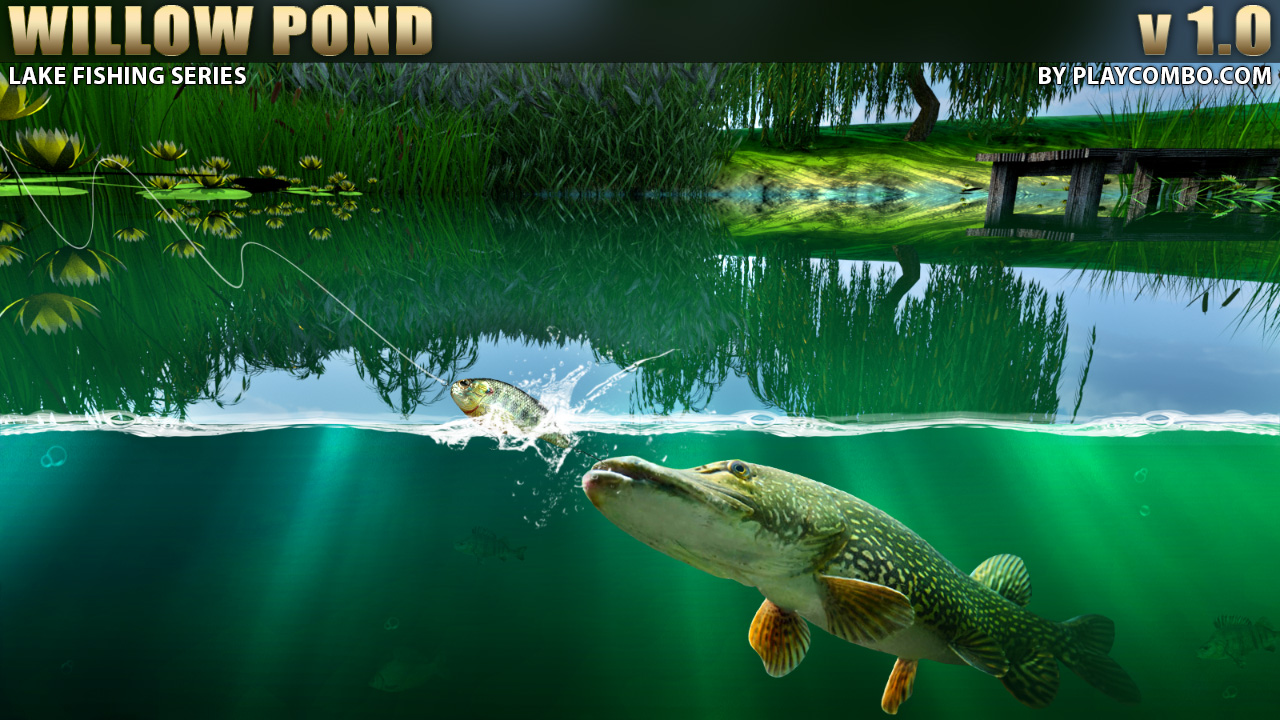 Söğüt göleti balıkçılığı